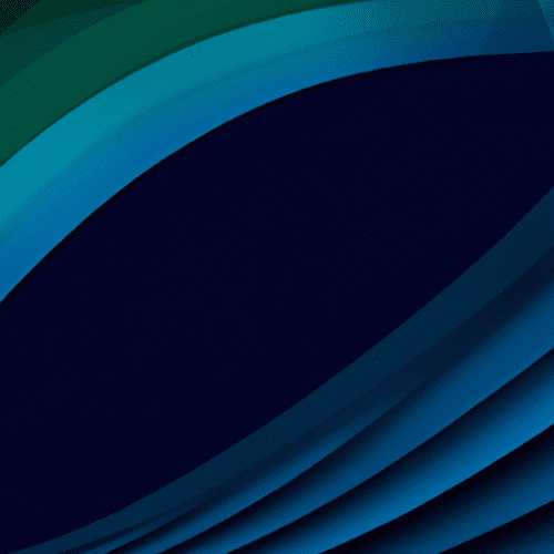 Networks and Medical Translation Services