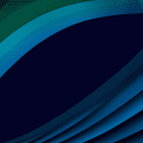 Networks and Medical Translation Services